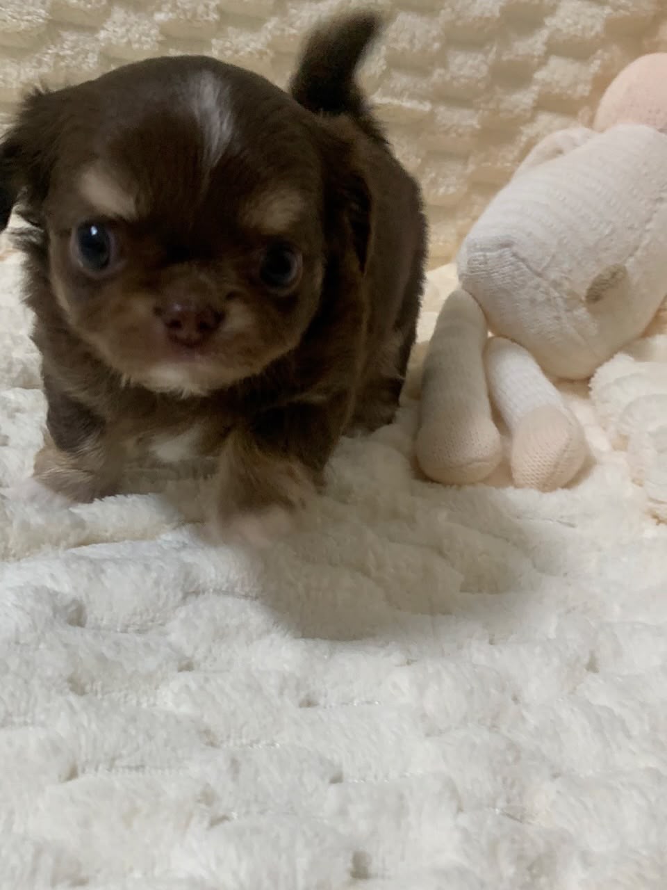 Finn